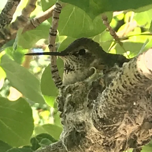 $ - Picture 14 of 16